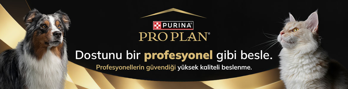 pro-plan-petdoys-banner.jpg