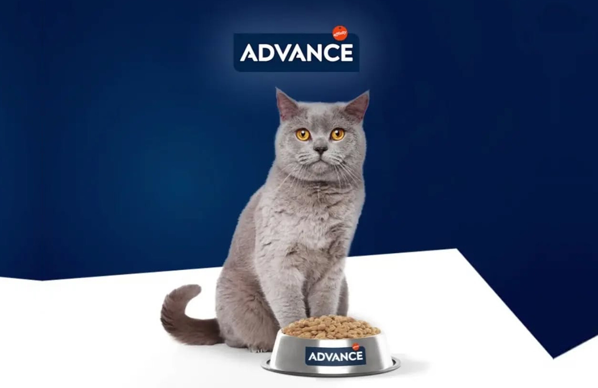 Advance Kedi Maması İle İlgili Detaylı İnceleme - Advance Kulananlar Ne Diyor?