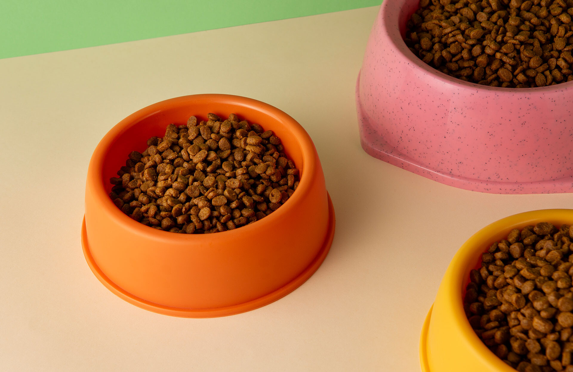 Renal Kedi Maması Nedir?