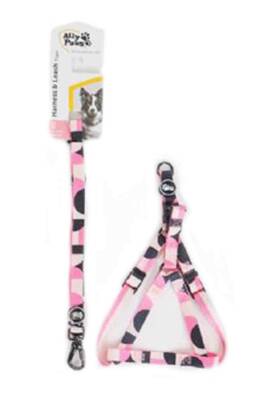 Ally Paws Harness & Leash Tape Göğüs Tasması ve Gezdirme Kayışı Small 1 - 1