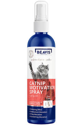 Beavis Catnip Motivation Spray Kediler için Oyun Spreyi - 1