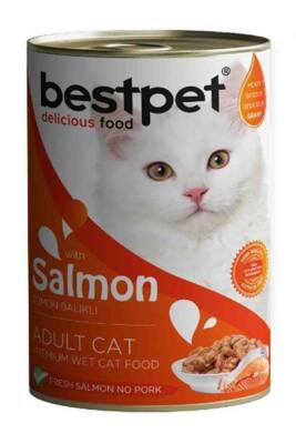 Bestpet Somon Balıklı Yetişkin Kedi Konservesi 400gr - 1