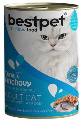 BestPet Ton Balıklı ve Hamsili Gravy Yetişkin Kedi Konservesi 400gr - 1