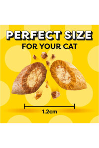 Dreamies Somonlu Kedi Ödül Maması 60 Gr - 4