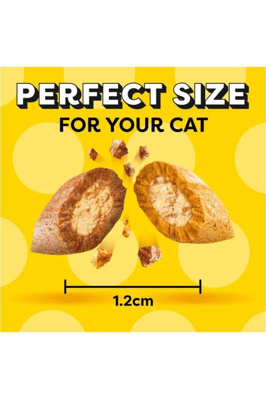 Dreamies Somonlu Kedi Ödül Maması 60 Gr - 4