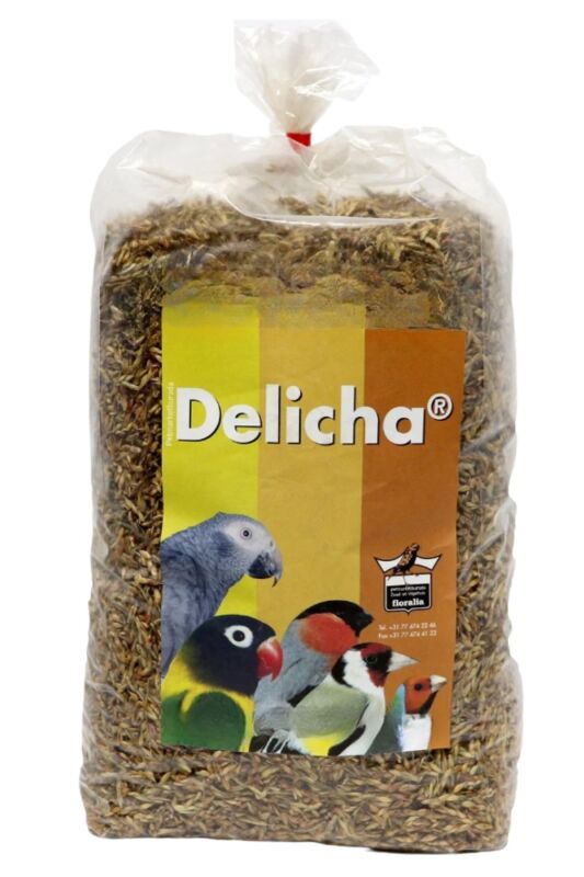 Floralia Delicha Doğal Bağışıklık Sistemi Kuvvetlendirici Özel Tohum 100 gr - 1