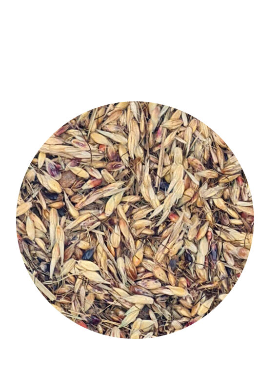 Floralia Delicha Doğal Bağışıklık Sistemi Kuvvetlendirici Özel Tohum 100 gr - 2