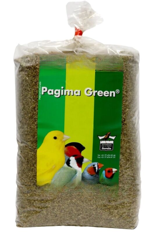 Floralia Pagima Green Sindirim Sistemi Düzenleyici Özel Çim Tohumu 100 gr - 1