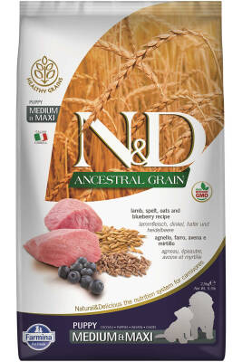 ND Ancestral Grain Düşük Tahıllı Kuzu Eti ve Yaban Mersinli Orta ve Büyük Irk Yavru Köpek Maması 2,5kg - 1