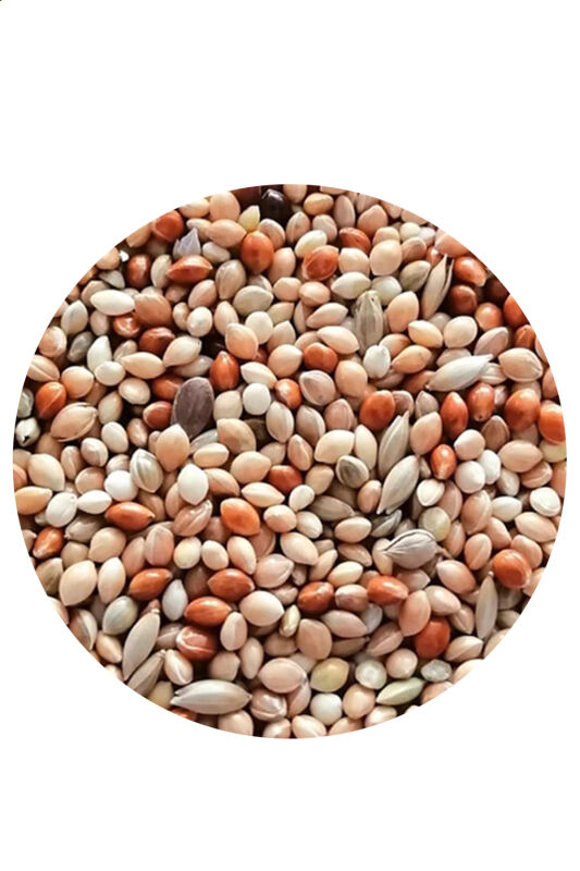 Petdoys Karışık Muhabbet Kuşu Yemi 5 KG - 1