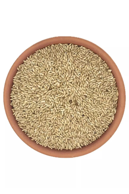 Petdoys Kuşlarınız Için Sade Aspur Yemi 250 Gram - 1