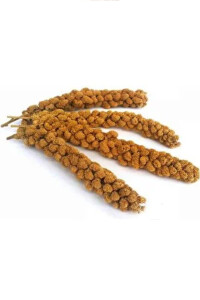 Petdoys Kuşlarınız Için Taze Yeni Mahsül Doğal Dal Darı - 500 Gram - 1