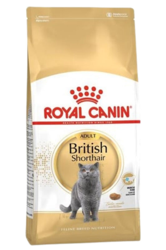 Royal Canin British Shorthair Adult Yetişkin Kedi Maması 2 KG - 1