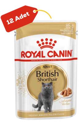 Royal Canin British Shorthair Yetişkin Kedi Konservesi 12x85gr 12li - 1