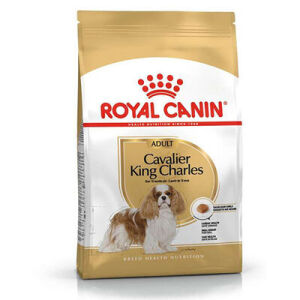 Royal Canin Cavalier King Charles Irk Köpek Maması 1,5 KG - ROYAL CANIN