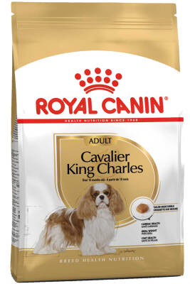 Royal Canin Cavalier King Charles Adult Yetişkin Köpek Maması 3kg - 1