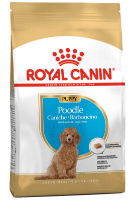 Royal Canin Poodle Irkı Yavru Köpek Maması 3kg - 1