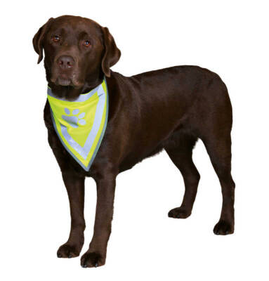 Trixie Köpek Bandanası 42-60cm (L/XL) - 1