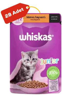 Whiskas Pouch Gravy Soslu Kümes Hayvanlı Yavru Kedi Konservesi 28x85gr 28li - 1