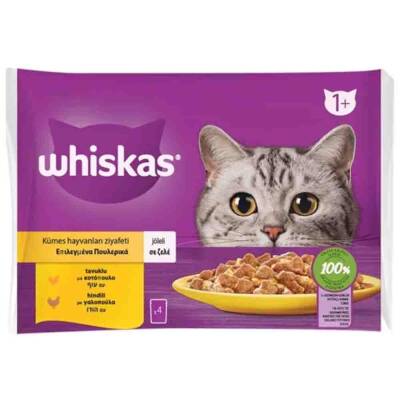 Whiskas Pouch Jöle İçinde Tavuklu ve Hindili Yetişkin Kedi Konservesi 85gr (4lü) - 1